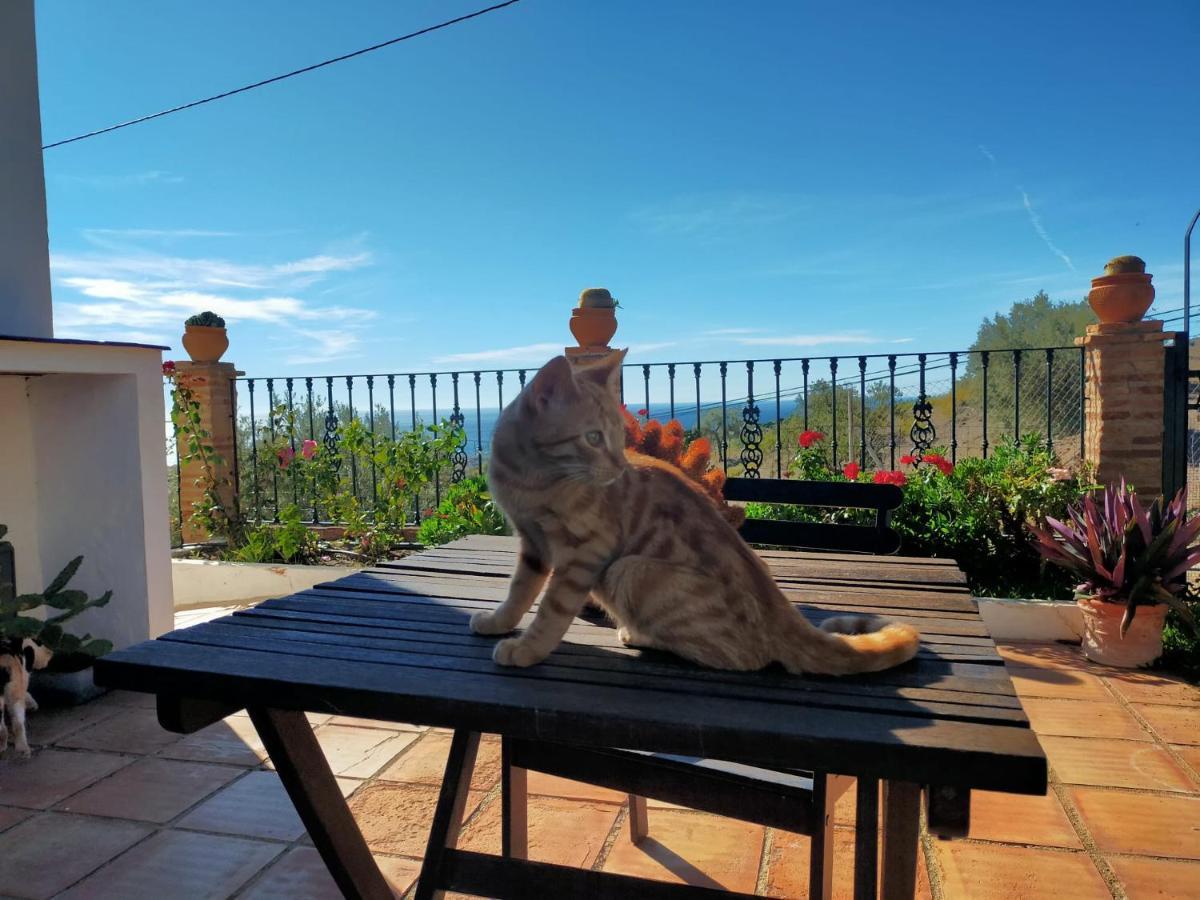 Paraje El Pozo Malaga Zewnętrze zdjęcie