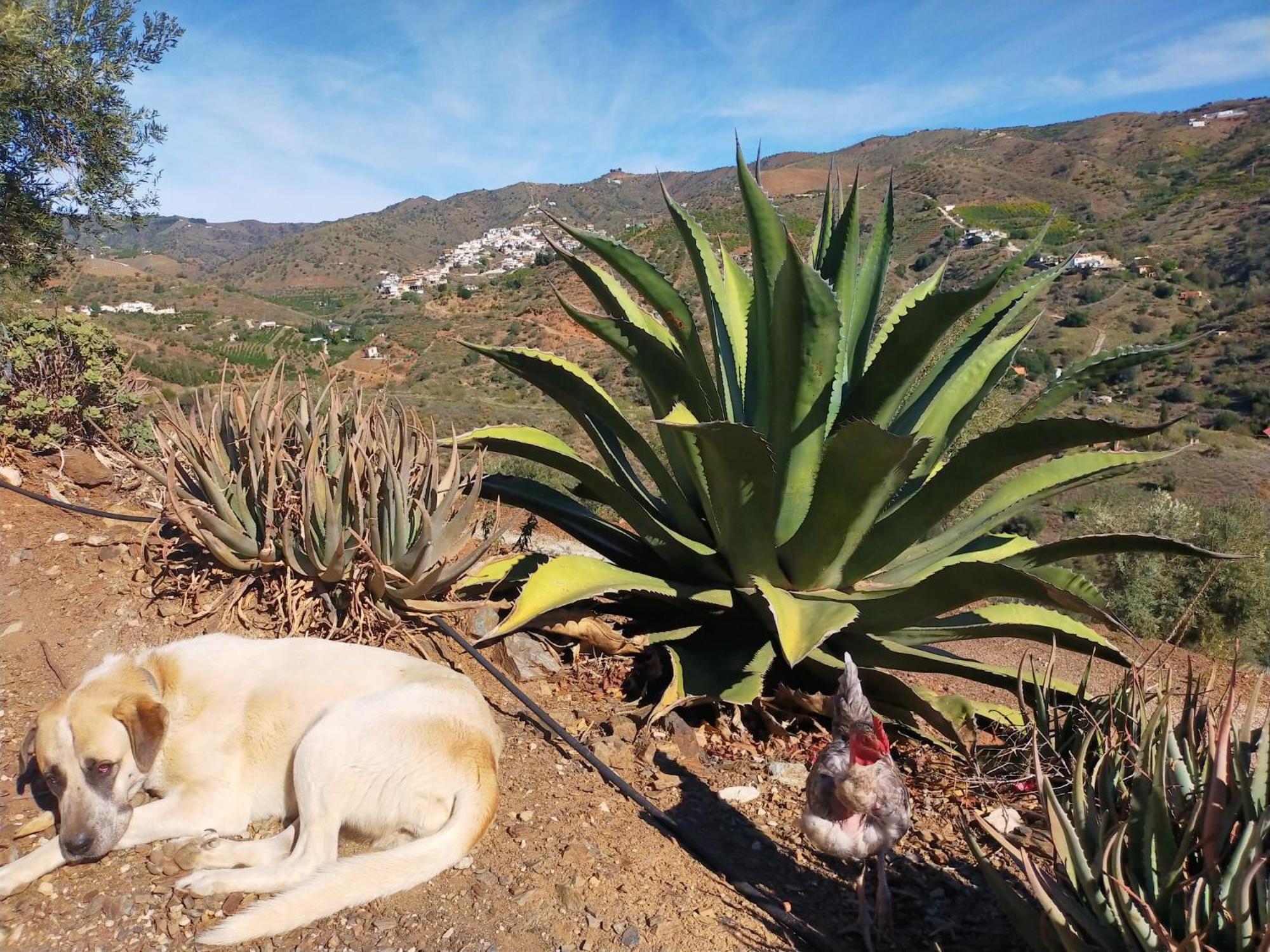 Paraje El Pozo Malaga Zewnętrze zdjęcie